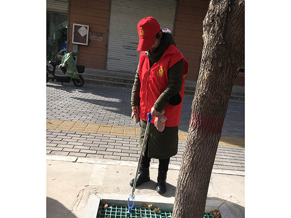 創衛進行時